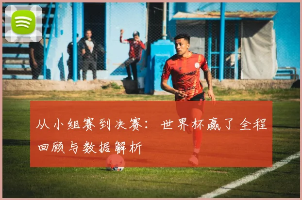 从小组赛到决赛：世界杯赢了全程回顾与数据解析