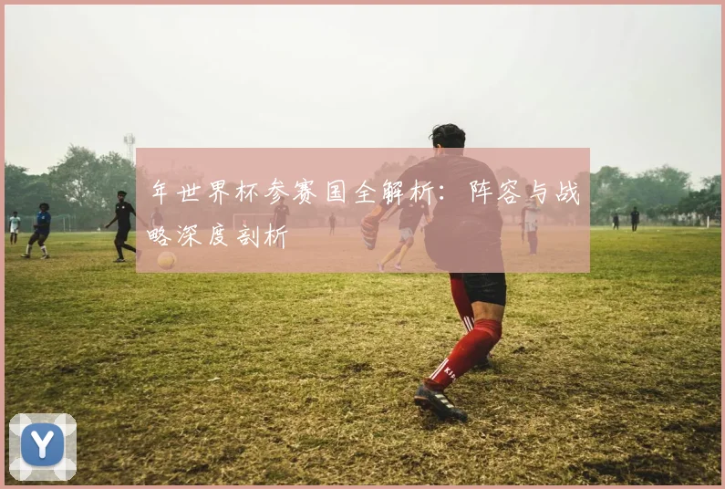年世界杯参赛国全解析：阵容与战略深度剖析