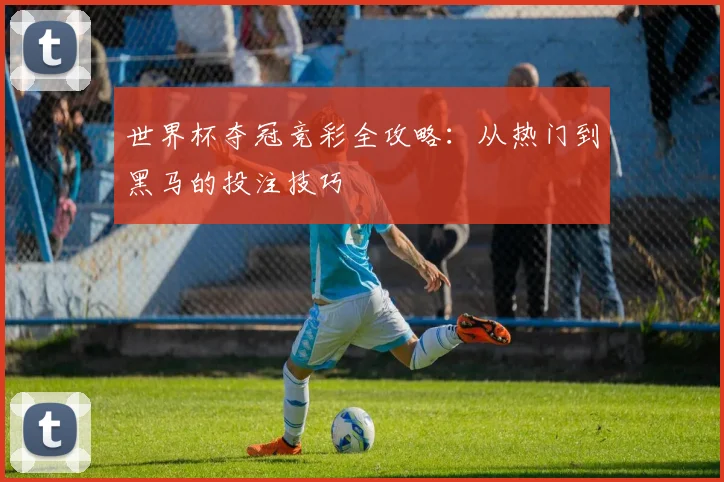 世界杯夺冠竞彩全攻略：从热门到黑马的投注技巧