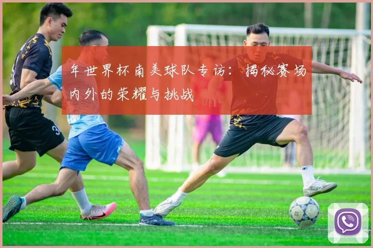 年世界杯南美球队专访：揭秘赛场内外的荣耀与挑战