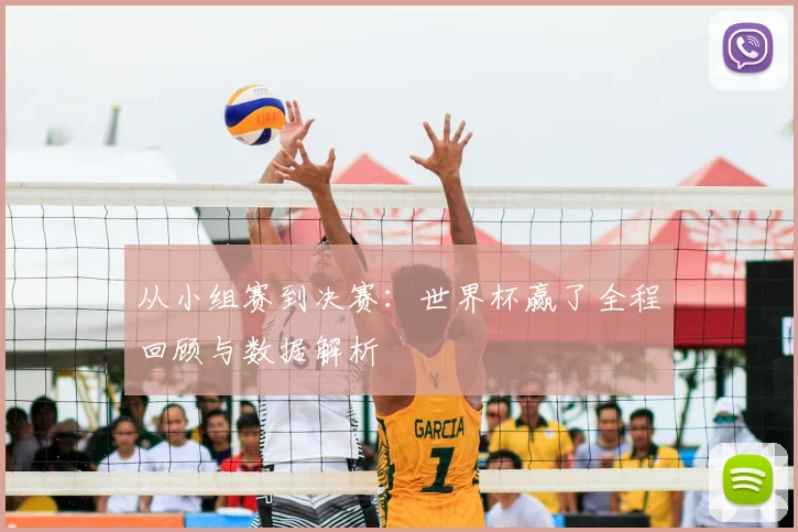 从小组赛到决赛：世界杯赢了全程回顾与数据解析