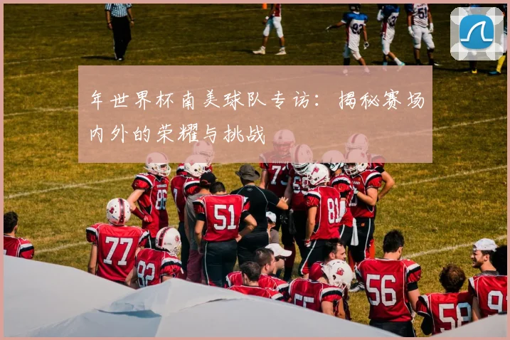 年世界杯南美球队专访：揭秘赛场内外的荣耀与挑战