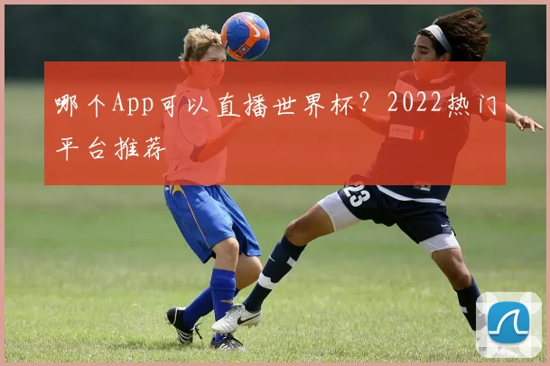 哪个App可以直播世界杯？2022热门平台推荐