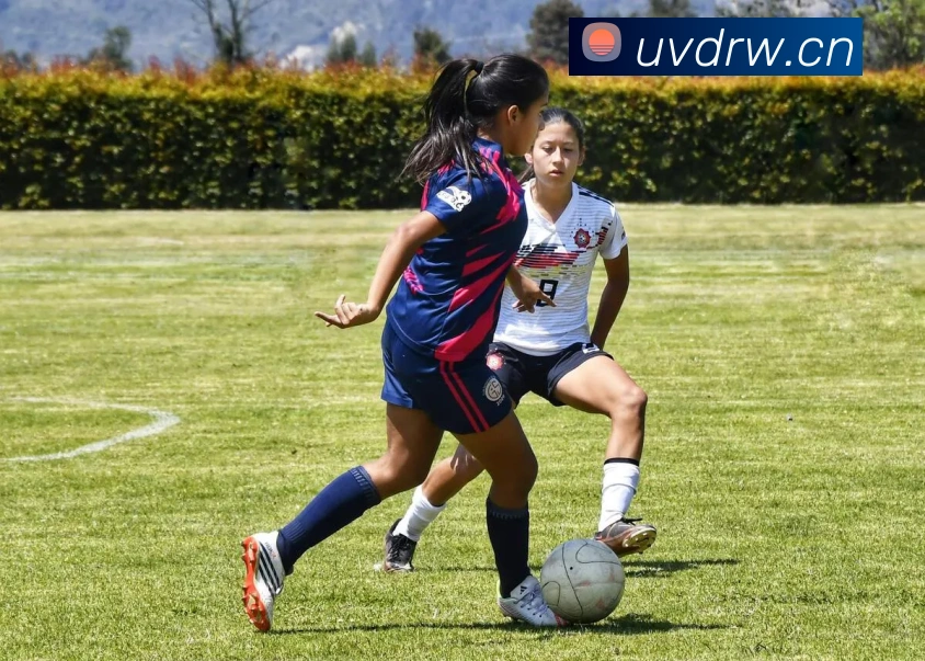 leyu体育官网APP 封面图